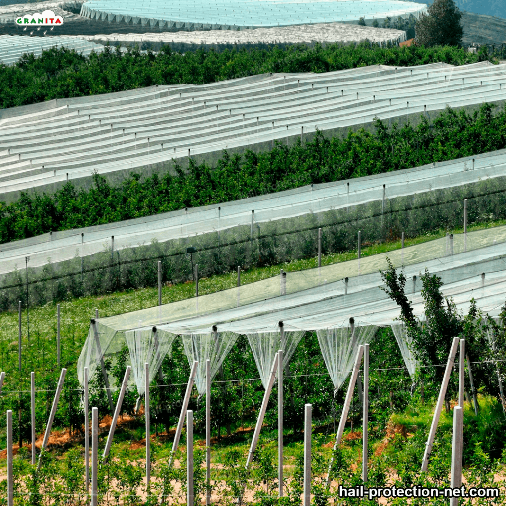 hail protection mesh installed in a field