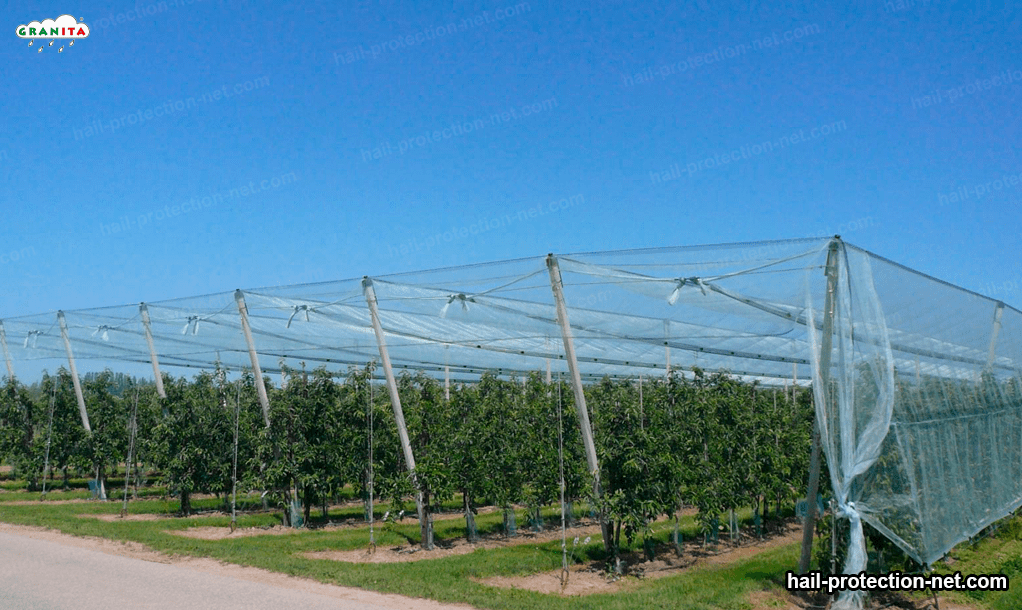 field protected from the hail by hail barrier mesh