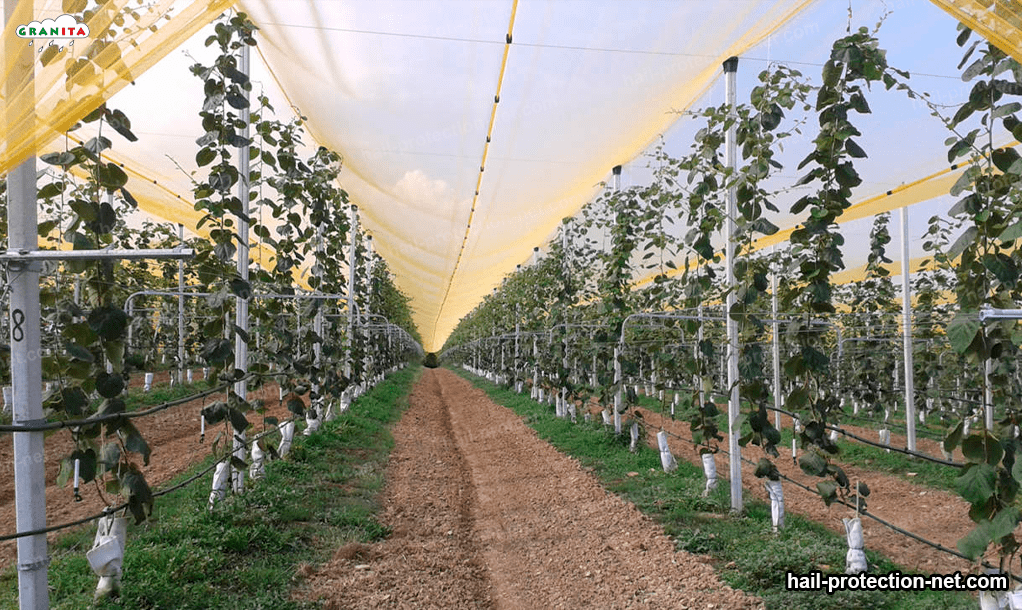 Protect your crop fields with anti hail net