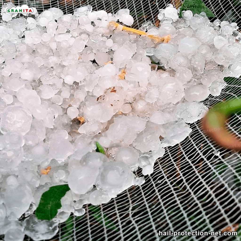 a closer shot of hail on top of the mesh